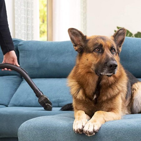 Conga Popstar 4000 Ultimate Animal Pro