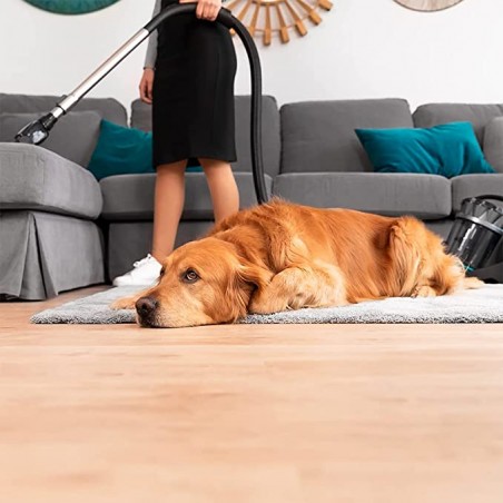 Conga Popstar 3000 X-Treme Animal Pro